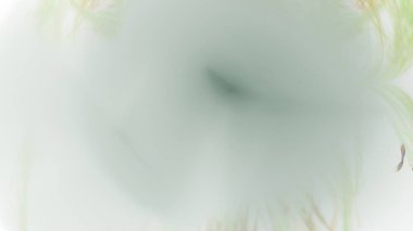 Fantezi kaotik renkli fraktal desen. Soyut Fraktal şekiller. 3D render resimde arka plan veya duvar kağıdı