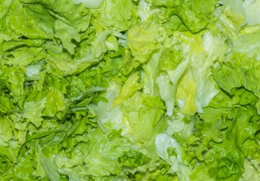 marul kesilmiş ve yıkanmış