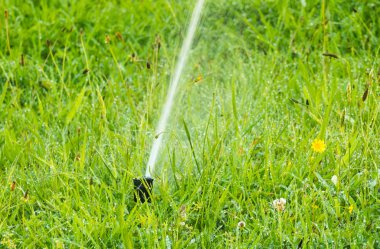 çim sulama yağmurlama