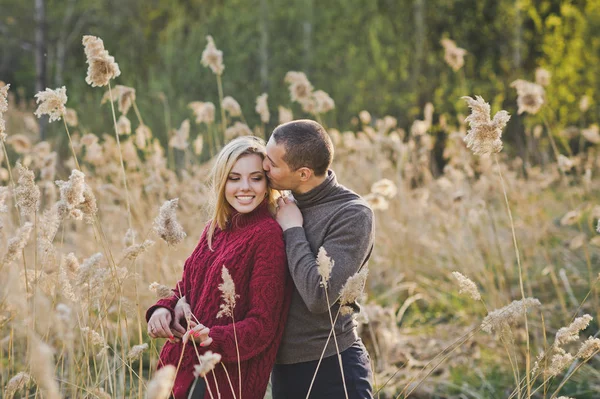 Aşık genç bir çift sazlık arka planı hugs.