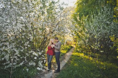Kiraz çiçekleri arasında aşık yürüyüş.