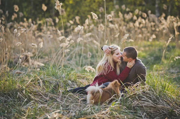 葦のなかのカップルの愛の美しい写真 — ストック写真