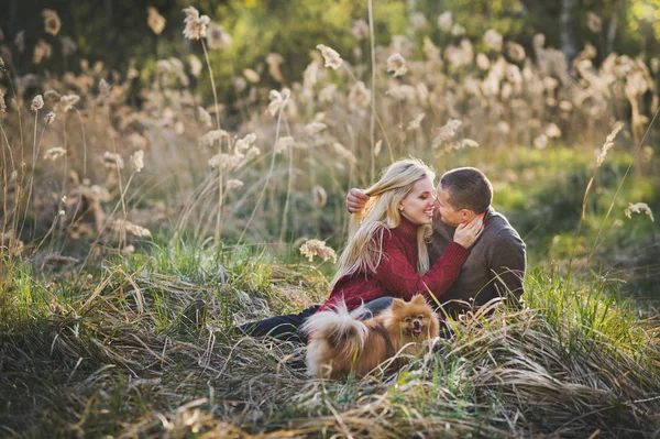 美丽的一对夫妇在芦苇之间的爱情照片 — 图库照片