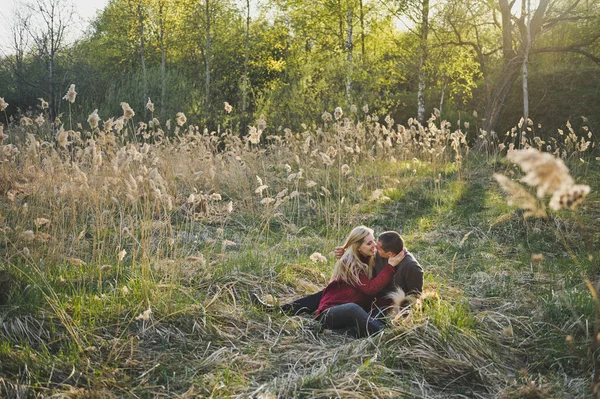 葦のなかのカップルの愛の美しい写真 — ストック写真