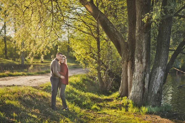 Amoureux Forêt Dans Les Rayons Soleil Couchant — Photo