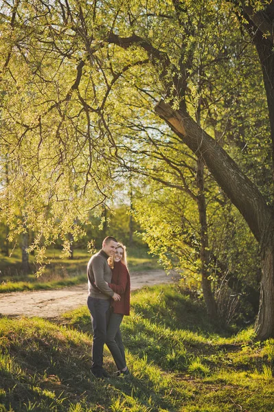 Liefhebbers Het Bos Stralen Van Ondergaande Zon — Stockfoto