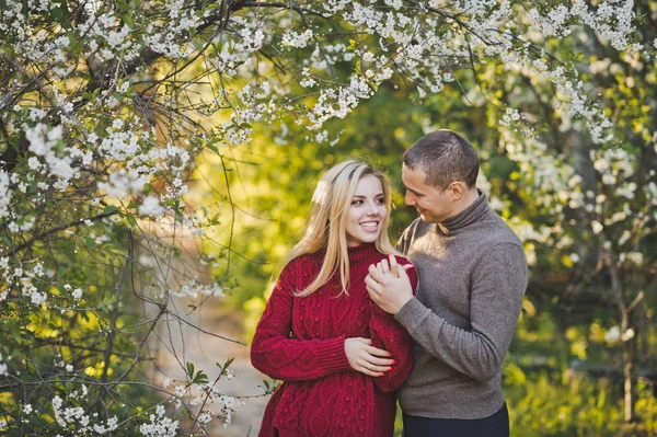 Couple Love Background Flowering Trees — Stock Photo, Image