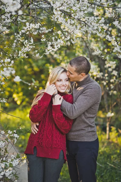 Casal Feliz Nas Flores Cereja — Fotografia de Stock