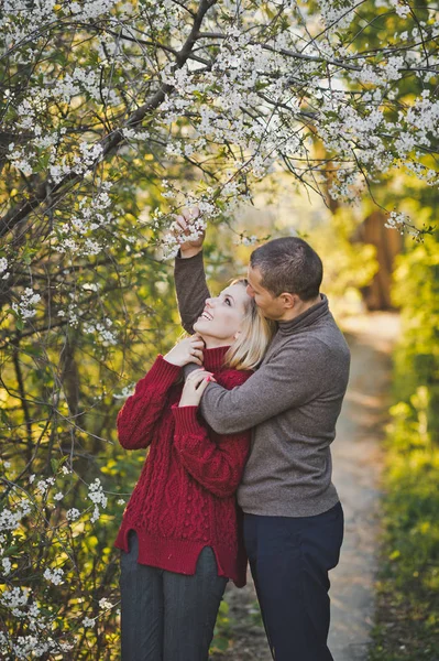 Szczęśliwa Para Wiśniowe Kwiaty — Zdjęcie stockowe