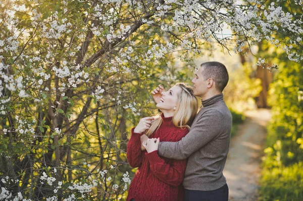 Couple Heureux Dans Les Fleurs Cerisier — Photo