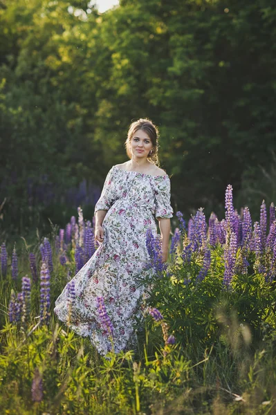A pregnant girl walks through the blooming lupine field 1685. — Stock Photo, Image