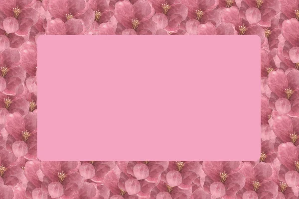 Cadre motif floral avec hortensia dans un fond rose isolé - Fleurs décoratives . — Photo