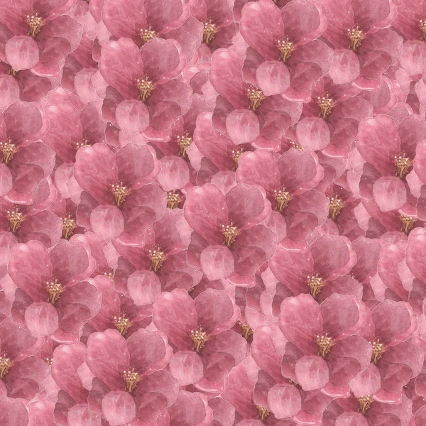 Cadre motif floral carré avec hortensia - Fleurs décoratives . — Photo