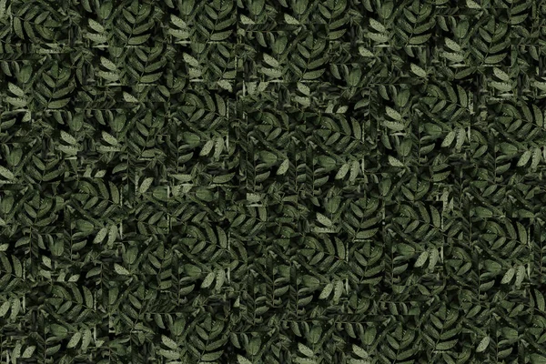 Abstract Tropical Leaves Jungle Leaf Seamless Pattern Background Banner Flyer — Stock Photo, Image