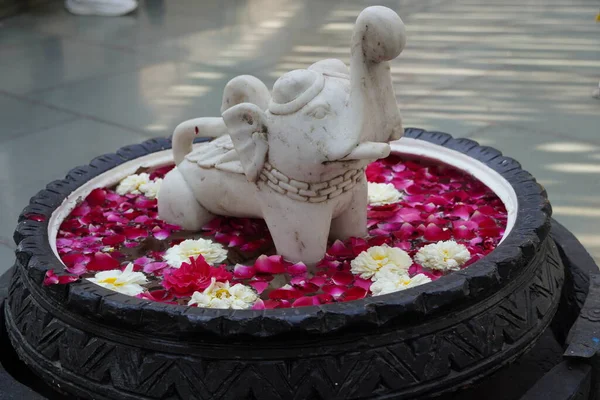 Marmorskål Med Vatten Och Blommor Marmor Miniatyr Elefant Placeras Mitten — Stockfoto