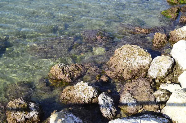 Costa Rocosa Con Color Turquesa Brillante Del Mar Mediterráneo España —  Fotos de Stock