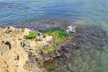 İspanya'da Akdeniz'in parlak turkuaz rengi ile kayalık kıyı şeridi