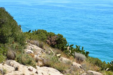 İspanya'da Akdeniz'in parlak turkuaz rengi ile kayalık kıyı şeridi