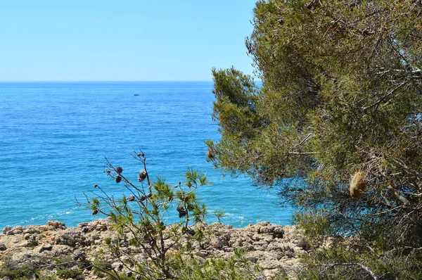İspanya'da Akdeniz'in parlak turkuaz rengi ile kayalık kıyı şeridi