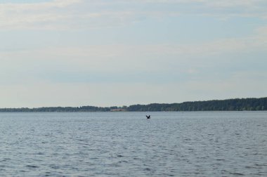 Nehirden kıyıya görünüm