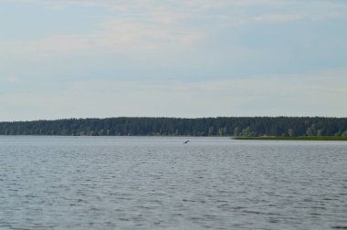 Nehirden kıyıya görünüm