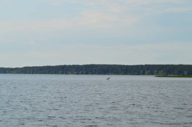 Nehirden kıyıya görünüm