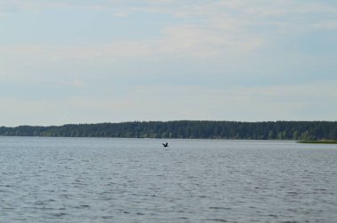 Nehirden kıyıya görünüm