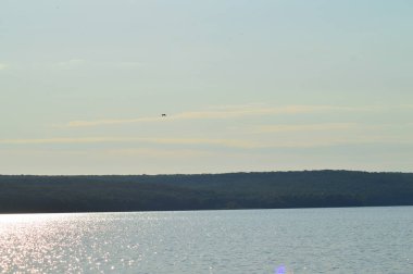 Nehirden kıyıya görünüm