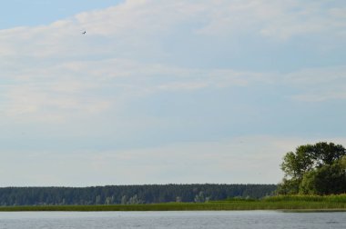 Nehirden kıyıya görünüm