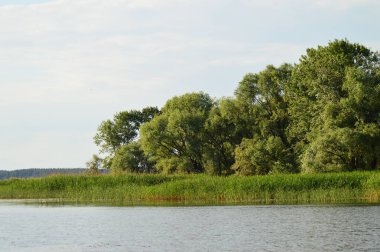 Nehirden kıyıya görünüm