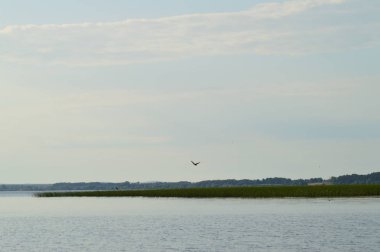 Nehirden kıyıya görünüm