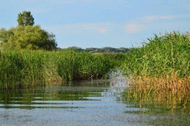 Nehirden kıyıya görünüm