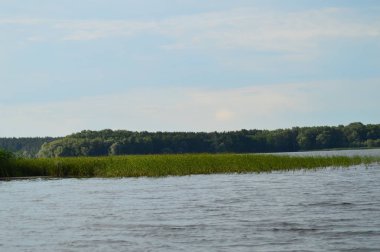 Nehirden kıyıya görünüm