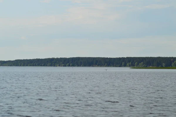 Widok Rzeki Brzeg — Zdjęcie stockowe