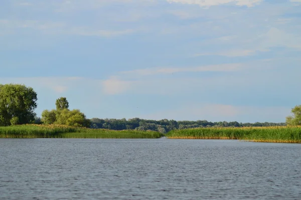 Vista Desde Río Hasta Orilla — Foto de Stock