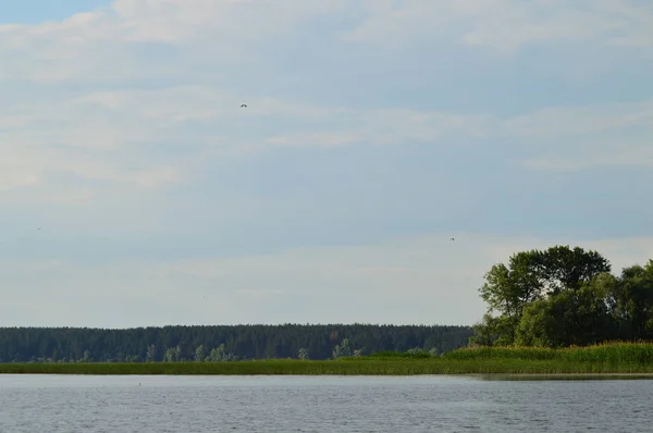 Widok Rzeki Brzeg — Zdjęcie stockowe