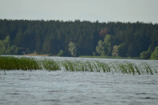 Uitzicht Vanaf Rivier Naar Kust — Stockfoto