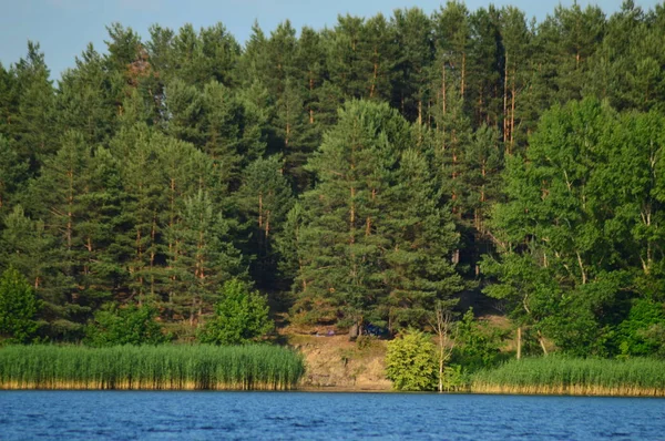 Blick Vom Fluss Zum Ufer — Stockfoto