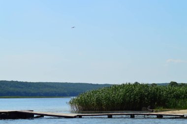 kıyı, nehir üzerinde ahşap köprü ve arka planda sazlık