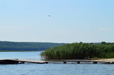 kıyı, nehir üzerinde ahşap köprü ve arka planda sazlık
