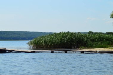 kıyı, nehir üzerinde ahşap köprü ve arka planda sazlık