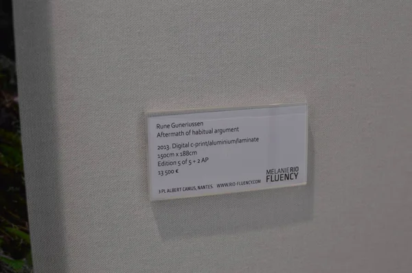 Önizleme Sanat Paris Sanat Fuarı 2019/ Paris, Fransa 03.04.2019. Art Paris, muhteşem Grand Palais'te 20 ülkeden 150 modern ve çağdaş sanat galerisini bir araya getirecek.