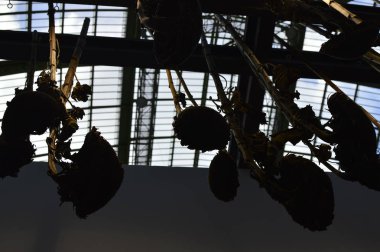 Önizleme Sanat Paris Sanat Fuarı 2019/ Paris, Fransa 03.04.2019. Art Paris, muhteşem Grand Palais'te 20 ülkeden 150 modern ve çağdaş sanat galerisini bir araya getirecek.