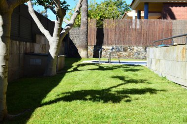 Güneşli mavi yüzme havuzu