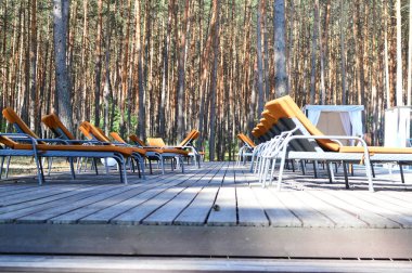 Güneşli mavi yüzme havuzu