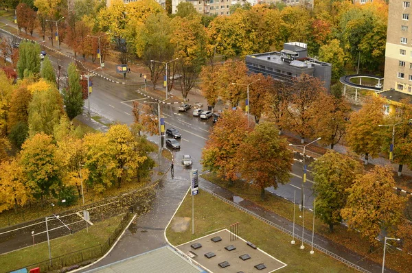 Sonbahar yaprakları, sonbahar arkaplanları