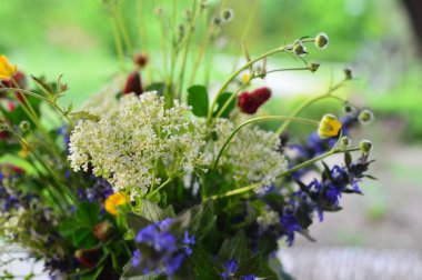 yeşil planlar ve çiçekler makro çekim