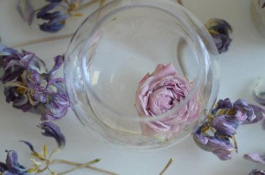 Doğal dekor ve çiçek makro çekimi