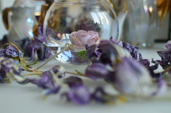 Natuurlijke Decor Bloemen Macro Schieten — Stockfoto