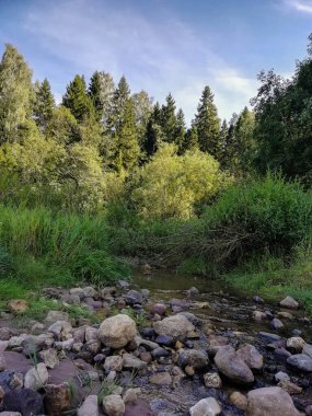 manzara, nehir, doğa, bitki, arka plan, sihirli, ekoloji, güneş, fantezi, peri masalı, vahşi, seyahat, yağmur ormanı, güneş ışığı, çevre, yeşillik, tworld, turkuaz, hedef, orman, orman, orman, harikalar, macera, su, ağaç